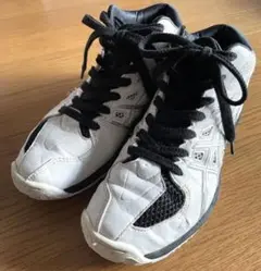 アシックス バクケットボールシューズ