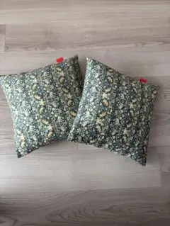 Item thumbnail for item 3a3d5dc0-b0a9-431a-8f95-33545c5e6cb1