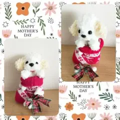 Xmasトイプードル②
