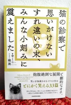 猫の診察で思いがけないすれ違いの末、みんなの小刻みに震えました