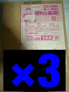 ポケモンセンター トウホク スペシャルBOX 3箱　輸送箱未開封