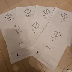 玉井式　図形の極　10 9 8 7 6 5 4 3 2 級　解答付　テストおまけ 玉井式 図形の極 10 9 8 7 6 5 4 3 2 級 解答付 テストおまけ