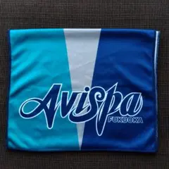 Avispa Fukuoka クールタオル