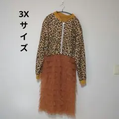 Item thumbnail for item ae7d16b5-22fc-4c74-b818-e3a3e5fbddc7