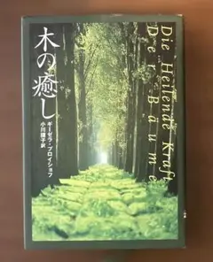 木の癒し