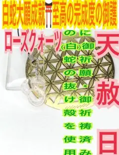 Item thumbnail for item 3f4348f8-4d1e-4d7e-b3e6-9b22a8f6ec51