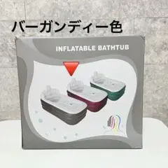 Item thumbnail for item ad3d3fe9-a5f8-4baf-bd41-6356c0709bcc