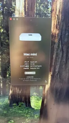 Apple Mac mini (M1, 2020) 16GB