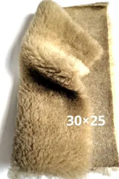 Item thumbnail for item 6e8e0194-c491-4c6a-9fe8-dcad358352d6