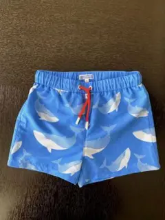 Item thumbnail for item 250deeb0-432c-4a79-8cb6-68ffab46fed6