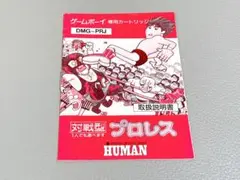 プロレス　ゲームボーイ　取扱説明書　のみ