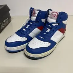 PONY CITY WINGS バスケットシューズ PONY（ポニー）の「超限定数 ポニー シティウィングス レトロ