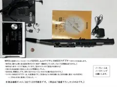 Item thumbnail for item 160f9702-ff79-4ef0-b36e-5883f0c61503