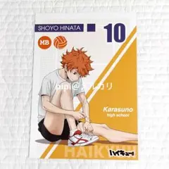 ハイキュー 日向翔陽 準備 A5ポストカード