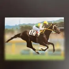 競馬。 ミスターシービーポストカード。シービークロスカード
