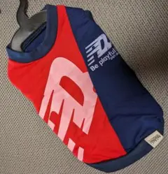 Item thumbnail for item 30a6e3dc-fc77-4f0c-a376-2c38858de6bd