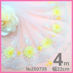 №250735 チュールレース