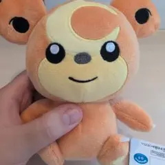 ヒメグマぬいぐるみ