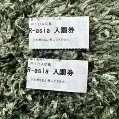 pica初島 アジアンリゾートR-asia 入園券 2枚セット