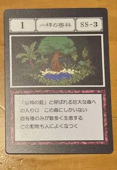 HUNTER×HUNTER一番くじ　一坪の密林