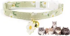 Item thumbnail for item 18939167-d58f-4ddd-8407-dacbe125fb75