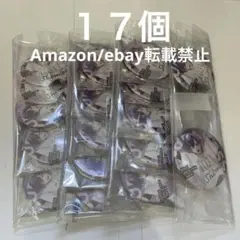 C5.浦島坂田船 ソロフェス 志麻 等身 缶バッジ 2024 USSS