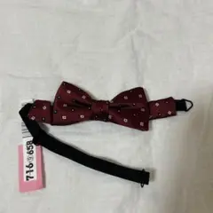 Item thumbnail for item fc3f0c8d-b23c-4322-aa72-223f127fa04f