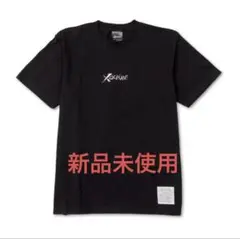 ばしこ様ini rtp tシャツセット ばしこ様ini rtp tシャツセット