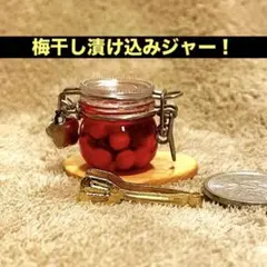 ミニチュア 梅干し漬け込みジャーセット①