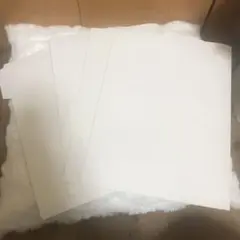 Item thumbnail for item e5b785c1-f1c8-40c9-aaa1-c37bcbc42b83