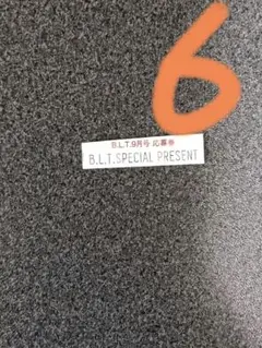 応募券　6枚　B.L.T.2025年9月号　B.L.T.　2025年9月号