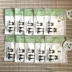 Item thumbnail for item 58009d91-20b5-4c1f-b587-89e7b03bc4e2