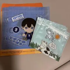 ハイキュー ぬいもっち H賞ジッパーバッグ 影山飛雄