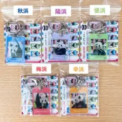 アドベンチャーワールド パンダ 限定ガチャ まとめ売り アクリルキーホルダー