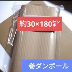 Item thumbnail for item d022fbfa-aa35-4a10-97b8-0c3d91c6462a