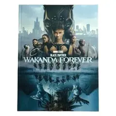 【美品】映画『ブラックパンサー: ワカンダフォーエバー』パンフレット
