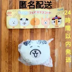ナガノキャラクターズ もっちるフェイスマスコット 　パグ