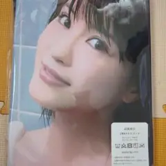 岸明日香　両面抱き枕カバー90cm×45cm　新品未使用