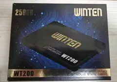 WINTEN WT200 256GB 内蔵型SSD