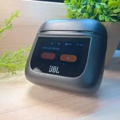 Item thumbnail for item e4085020-8df8-4456-b6e5-89033576aeee