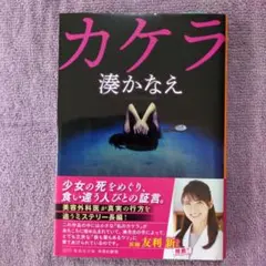 カケラ 湊かなえ著 ミステリー