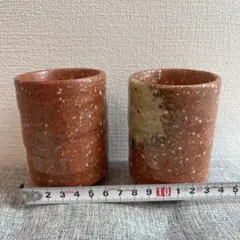 Item thumbnail for item 3eb3d03c-0820-47b2-b6eb-0b543d8b3ebf