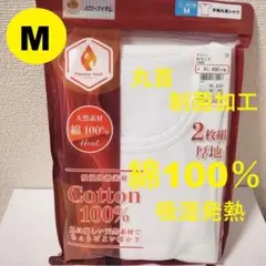 Item thumbnail for item 1e24f650-8b86-4b2c-a762-6766f162862a