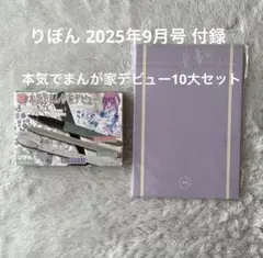 【新品未開封】りぼん 9月号 付録 本気でまんが家デビュー10大セット