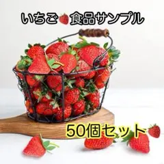 食品サンプル イチゴ 50個セット ディスプレイ 写真撮影 インテリア B200