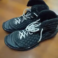 Item thumbnail for item f0a6c571-a416-4395-9962-cfb161d4c0f3