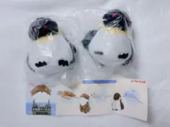 かわいいかわいぬいぐるみ 水族館のいきもの
