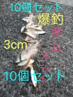 【3cm網目】ボムネット【10個セット】
