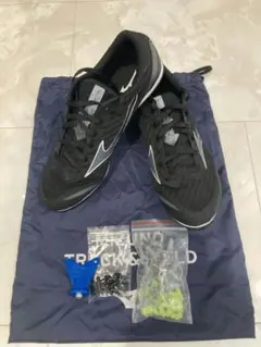 Item thumbnail for item 5ca2b10b-66bf-4b97-b7c6-5f380946ece2