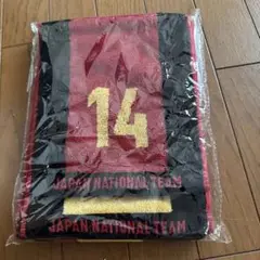 JVA 石川祐希　タオル 2025